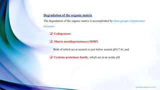 Degradation of the organic matrix
The degradation of the organic matrix is accomplished by three groups of proteinase
enzymes:
 Collagenases
 Matrix metalloproteinases (MMP)
Both of which act at neutral or just below neutral pH (7.4), and
 Cysteine proteinase family, which act at an acidic pH
 