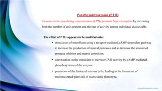 Parathyroid hormone (PTH)
Increase in the circulating concentration of PTH promote bone résorption by increasing
both the number of cells present and the rate of activity among individual clastic cells.
The effect of PTH appears to be multifactorial:
• stimulation of osteoblasts using a receptor-mediated,cAMP-dependent pathway
to increase the production of neutral proteases and to decrease the amount of
protease inhibitor and matrix deposition;
• direct action on the osteoclast to increase CA II activity by cAMP-mediated
phosphorylation of the enzyme
• promotion of the fusion of marrow cells, leading to the formation of
multinucleated giant cell of osteoclastic phenotype.
 