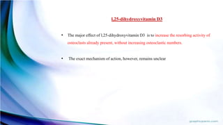 l,25-dihydroxyvitamin D3
• The major effect of l,25-dihydroxyvitamin D3 is to increase the resorbing activity of
osteoclasts already present, without increasing osteoclastic numbers.
• The exact mechanism of action, however, remains unclear
 