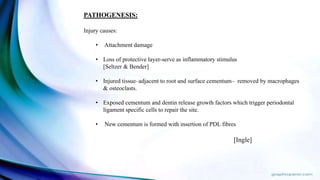 PATHOGENESIS:
Injury causes:
• Attachment damage
• Loss of protective layer-serve as inflammatory stimulus
[Seltzer & Bender]
• Injured tissue–adjacent to root and surface cementum– removed by macrophages
& osteoclasts.
• Exposed cementum and dentin release growth factors which trigger periodontal
ligament specific cells to repair the site.
• New cementum is formed with insertion of PDL fibres
[Ingle]
 