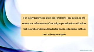 If an injury removes or alters the (protective) pre-dentin or pre-
cementum, inflammation of the pulp or periodontium will induce
root resorption with multinucleated clastic cells similar to those
seen in bone resorption
 