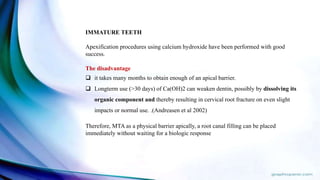 IMMATURE TEETH
Apexification procedures using calcium hydroxide have been performed with good
success.
The disadvantage
 it takes many months to obtain enough of an apical barrier.
 Longterm use (>30 days) of Ca(OH)2 can weaken dentin, possibly by dissolving its
organic component and thereby resulting in cervical root fracture on even slight
impacts or normal use. .(Andreasen et al 2002)
Therefore, MTA as a physical barrier apically, a root canal filling can be placed
immediately without waiting for a biologic response
 