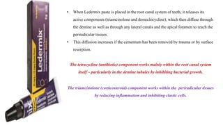 • When Ledermix paste is placed in the root canal system of teeth, it releases its
active components (triamcinolone and demeclocycline), which then diffuse through
the dentine as well as through any lateral canals and the apical foramen to reach the
periradicular tissues.
• This diffusion increases if the cementum has been removed by trauma or by surface
resorption.
The tetracycline (antibiotic) component works mainly within the root canal system
itself – particularly in the dentine tubules by inhibiting bacterial growth.
The triamcinolone (corticosteroid) component works within the periradicular tissues
by reducing inflammation and inhibiting clastic cells.
 