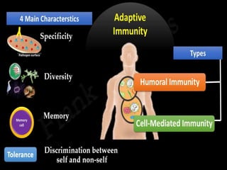 TYPES OF IMMUNITY