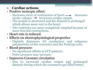 1. Cardiac actions
• Positive inotropic effect:
▫ Increases force of contraction of heart increases
stroke volume increases cardiac output.
▫ The systole is shortened and the diastole is prolonged
which allows more rest to the heart.
▫ The ventricles are more completely emptied because of
more forceful contractions.
• Heart rate is reduced.
• Effects on electrophysiological properties
▫ Digitalis depresses AV conduction and enhances
automaticity of the ventricles and the Purkinje cells.
• Blood pressure:
▫ No significant effects in CCF patients.
▫ Pulse pressure may increase.
• Improves Coronary circulation
▫ Due to increased cardiac output and prolonged
diastole during which the coronaries get filled better.
 