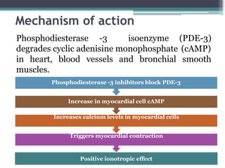 Mechanism of action
Phosphodiesterase -3 isoenzyme (PDE-3)
degrades cyclic adenisine monophosphate (cAMP)
smooth
Increase in myocardial cell cAMP
Increases calcium levels in myocardial cells
Triggers myocardial contraction
Positive ionotropic effect
in heart, blood vessels and bronchial
muscles.
Phosphodiesterase -3 inhibitors block PDE-3
 