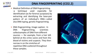  Medical Definition of DNAfingerprinting.
:a technique used especially for
identification (as for forensic purposes) by
extracting and identifying the base-pair
pattern of an individual's DNA—called
also DNA typing, genetic fingerprinting.
 DNA fingerprinting. Image caption: In
DNA fingerprinting, scientists
collectsamples of DNA from different
sources — for example, from a hair left
behind at the crime scene and from the
blood of victims and suspects. They then
narrow in on the stretches of
repetitive DNA scattered throughout
these samples.
2 July 2021 Abhijit Debnath BP605T and Biotech Unit-2 30
DNA FINGERPRINTING (CO2.2)
 