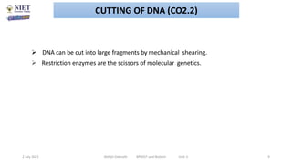  DNA can be cut into large fragments by mechanical shearing.
 Restriction enzymes are the scissors of molecular genetics.
2 July 2021 Abhijit Debnath BP605T and Biotech Unit-2 9
CUTTING OF DNA (CO2.2)
 