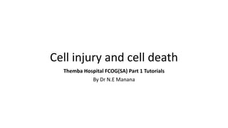 Cell injury and cell death
Themba Hospital FCOG(SA) Part 1 Tutorials
By Dr N.E Manana
 