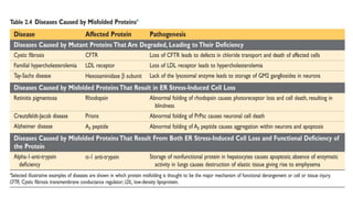 2. cell injury and cell death | PPTX