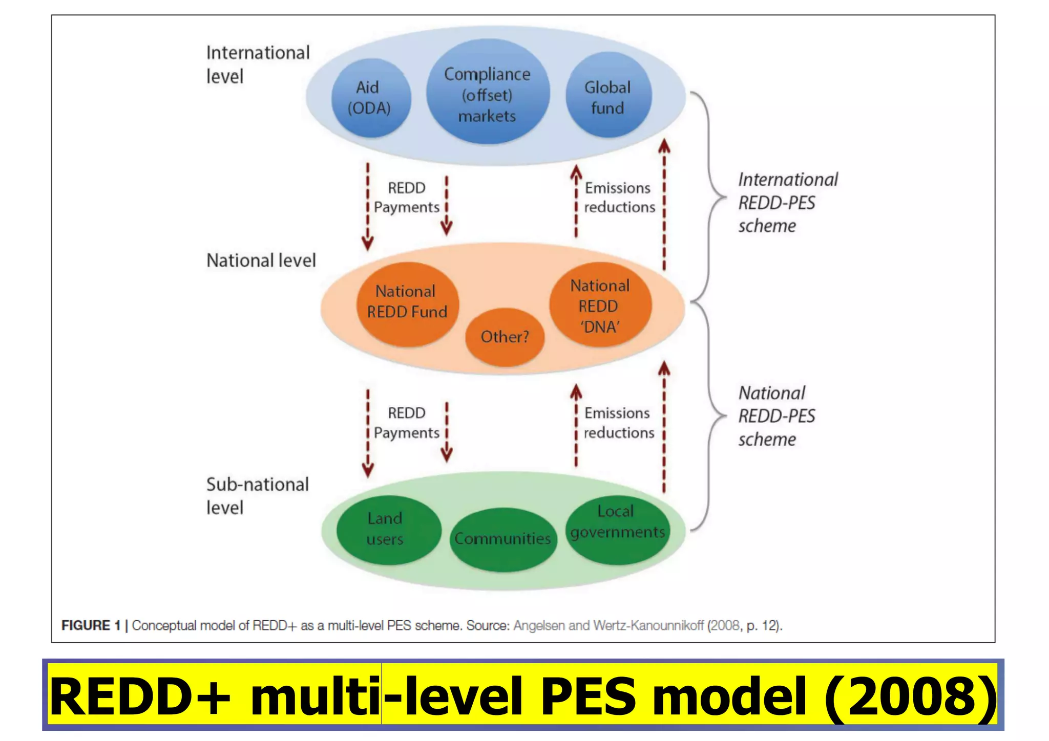 REDD+ multi-level PES model (2008)
 