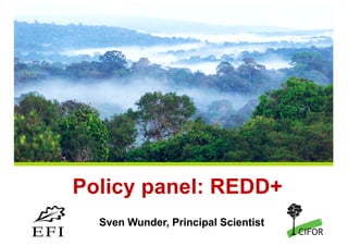 THINKING beyond the canopy
Policy panel: REDD+
Sven Wunder, Principal Scientist
 