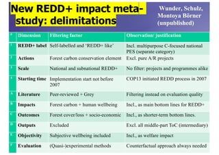 Policy panel: REDD+