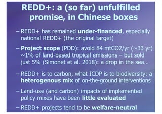 Policy panel: REDD+