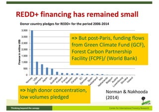Policy panel: REDD+