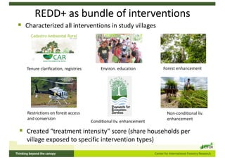 Policy panel: REDD+
