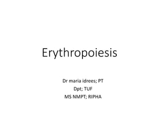 Erythropoiesis
Dr maria idrees; PT
Dpt; TUF
MS NMPT; RIPHA
 