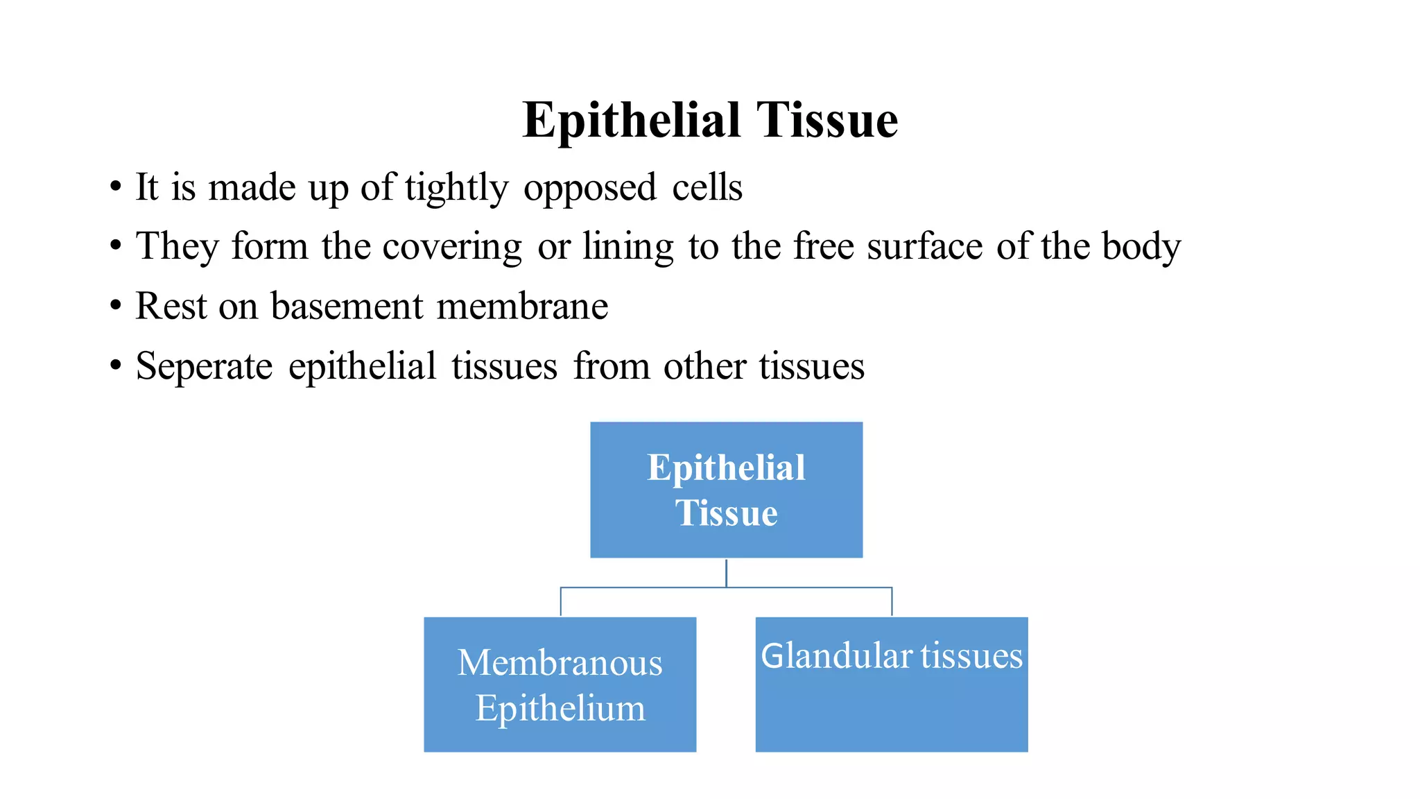 Epithelial Tissue
• It is made up of tightly opposed cells
• They form the covering or lining to the free surface of the body
• Rest on basement membrane
• Seperate epithelial tissues from other tissues
Epithelial
Tissue
Membranous
Epithelium
Glandular tissues
 