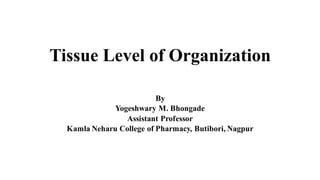 Tissue Level of Organization
By
Yogeshwary M. Bhongade
Assistant Professor
Kamla Neharu College of Pharmacy, Butibori, Nagpur
 