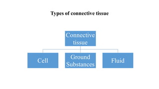 Types of connective tissue
Connective
tissue
Cell
Ground
Substances
Fluid
 