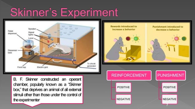 pavlov’s experiment and skinner's experiment | PPT