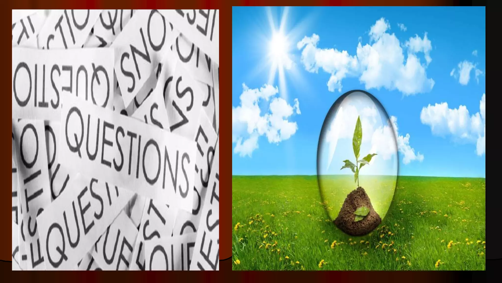 Adaptive E-Learning Systems - R.D.Sivakumar