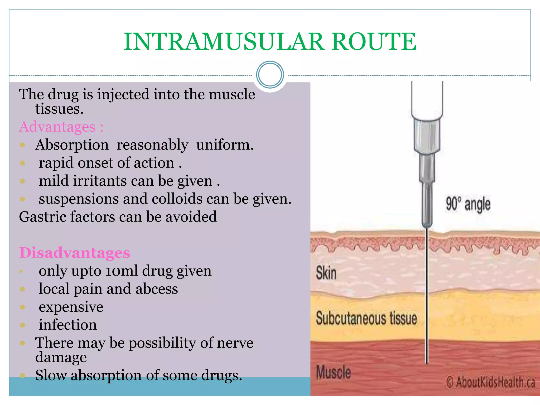 INTRAMUSULAR ROUTE
The drug is injected into the muscle
tissues.
Advantages :
 Absorption reasonably uniform.
 rapid onset of action .
 mild irritants can be given .
 suspensions and colloids can be given.
Gastric factors can be avoided
Disadvantages
• only upto 10ml drug given
 local pain and abcess
 expensive
 infection
 There may be possibility of nerve
damage
 Slow absorption of some drugs.
 