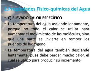 2.Propiedades Físico-químicas del Agua
• C) ELEVADO CALOR ESPECÍFICO
• La temperatura del agua asciende lentamente,
porque no todo el calor se utiliza para
aumentar el movimiento de las moléculas, sino
que una parte se invierte en romper los
puentes de hidrógeno.
• La temperatura del agua también desciende
lentamente, pues debe perder mucho calor, el
cual se utilizó para producir su incremento.
 