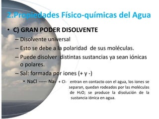 2.Propiedades Físico-químicas del Agua
• C) GRAN PODER DISOLVENTE
– Disolvente universal
– Esto se debe a la polaridad de sus moléculas.
– Puede disolver distintas sustancias ya sean iónicas
o polares.
– Sal: formada por iones (+ y -)
• NaCl ----- Na+ + Cl- entran en contacto con el agua, los iones se
separan, quedan rodeados por las moléculas
de H2O; se produce la disolución de la
sustancia iónica en agua.
 