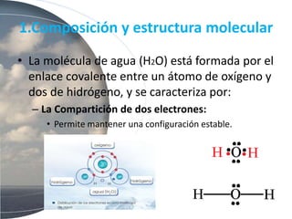 1.Composición y estructura molecular
• La molécula de agua (H2O) está formada por el
enlace covalente entre un átomo de oxígeno y
dos de hidrógeno, y se caracteriza por:
– La Compartición de dos electrones:
• Permite mantener una configuración estable.
 
