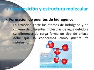1.Composición y estructura molecular
• Formación de puentes de hidrógeno:
– La atracción entre los átomos de hidrógeno y de
oxígeno de diferentes moléculas de agua debido a
su diferencia de carga forma un tipo de enlace
débil que lo conocemos como puente de
hidrógeno.
 