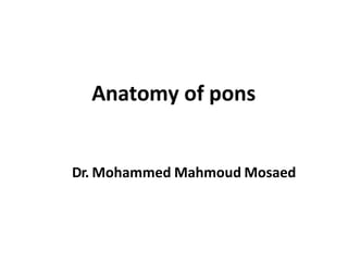 Anatomy of pons
Dr. Mohammed Mahmoud Mosaed
 
