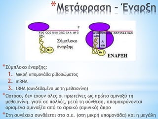 *Σύμπλοκο έναρξης:
1. Μικρή υπομονάδα ριβοσώματος
2. mRNA
3. tRNA (συνδεδεμένο με τη μεθειονίνη)
*Ωστόσο, δεν έχουν όλες οι πρωτεΐνες ως πρώτο αμινοξύ τη
μεθειονίνη, γιατί σε πολλές, μετά τη σύνθεση, απομακρύνονται
ορισμένα αμινοξέα από το αρχικό (αμινικό) άκρο
*Στη συνέχεια συνδέεται στο σ.ε. (στη μικρή υπομονάδα) και η μεγάλη
*
 