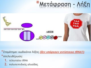 *
*Σταμάτημα: κωδικόνιο λήξης (δεν υπάρχουν αντίστοιχα tRNA!!)
*Απελευθέρωση:
1. τελευταίου tRNA
2. πολυπεπτιδικής αλυσίδας
 