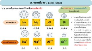 2. ขนาดไอออน (ionic radius)
2.1 ขนาดไอออนบวกของโลหะในคาบเดียวกัน
ขนาดอะตอม
2,8,1 2,8,2 2,8,3 2,8,4
ขนาดไอออนบวก Na+ Mg2+ Al3+ Si4+
2,8 2,8 2,8 2,8
• อะตอมที่เสียอิเล็กตรอนไป
จะเปลี่ยนเป็นไอออนบวก
• ถ้าเสียอิเล็กตรอนมาก
ขนาดของไอออนบวกของ
อะตอมนั้นยิ่งลดลง
• อ ะ ต อ ม มีอิ เ ล็ ก ต ร อ น
น้อยลง แต่จํานวนโปรตอน
ในนิวเคลียสยังเท่าเดิม
• อิเล็กตรอนที่เหลืออยู่จะถูก
นิวเคลียสดึงดูดมากยิ่งขึ้น
จึงทําให้ไอออนบวกมีขนาด
เล็กกว่าขนาดอะตอม
ยิ่งประจุบวกมาก ขนาดไอออนยิ่งเล็ก
ในคาบเดียวกัน
13
 