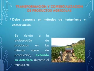TRANSFORMACIÓN Y COMERCIALIZACIÓN
DE PRODUCTOS AGRÍCOLAS
• Debe pensarse en métodos de tratamiento y
conservación.
Se tiende a la
elaboración de
productos en las
mismas zonas de
producción, evitando
su deterioro durante el
transporte.
 
