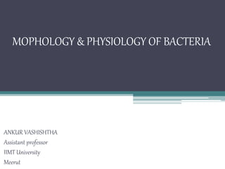 MOPHOLOGY & PHYSIOLOGY OF BACTERIA
ANKUR VASHISHTHA
Assistant professor
IIMT University
Meerut
 
