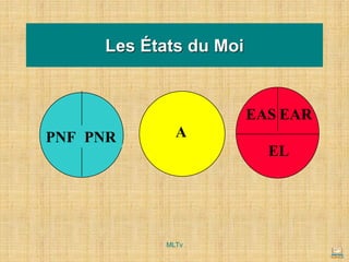 Les États du Moi
EAR
EAS
EL
PNF PNR A
MLTv
 