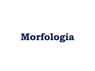 Morfologia
 