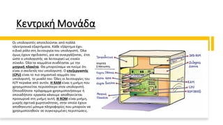 Κεντρική Μονάδα
Οι υπολογιστές αποτελούνται από πολλά
ηλεκτρονικά εξαρτήματα. Κάθε εξάρτημα έχει
ειδικό ρόλο στη λειτουργία του υπολογιστή. Όλα
όμως έχουν σχεδιαστεί, για να συνεργάζονται, έτσι
ώστε ο υπολογιστής να λειτουργεί ως ενιαίο
σύνολο. Όλα τα κομμάτια συνδέονται με την
μητρική πλακέτα. Θα μπορούσαμε να πούμε ότι
είναι ο σκελετός του υπολογιστή. Ο επεξεργαστής
(CPU) είναι το πιο σημαντικό κομμάτι του
υπολογιστή, το μυαλό του. Όλες οι λειτουργίες του
Η/Υ περνάνε από αυτόν. Η RAM είναι η μνήμη που
χρησιμοποιείται περισσότερο στον υπολογιστή.
Οποιοδήποτε πρόγραμμα χρησιμοποιήσουμε ή
οποιαδήποτε εργασία κάνουμε αποθηκεύεται
προσωρινά στη μνήμη αυτή. Η ROM είναι μνήμη,
μικρής σχετικά χωρητικότητας, στην οποία έχουν
αποθηκευτεί μόνιμα πληροφορίες που μπορούν να
χρησιμοποιηθούν σε συγκεκριμένες περιπτώσεις.
 