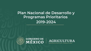 Plan Nacional de Desarrollo y
Programas Prioritarios
2019-2024
 