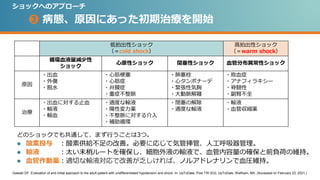 ショック パート2 ショックへの介入 ショック パート2 ショックへの介入