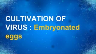 CULTIVATION OF
VIRUS : Embryonated
eggs
 