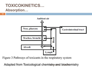 TOXICOKINETICS…
Absorption…
4/5/2022
Toxicokinetics
12
Figure 3 Pathways of toxicants in the respiratory system
Adapted from Toxicological chemistry and biochemistry
 