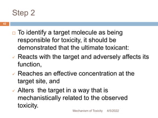 2.6 mechanisms of toxicity | PPTX