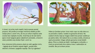 U stvari, to je bio mali vrapčić, koji je pevao pored
prozora. Alo prošlo je mnogo vremena otkako je džin
slušao ptice u svom vrtu, da mu je cvrkut vrapčića sada
zvučao kao najlepša muzika. Grad koji je do tad stalno
igrao iznad njegove glave odjednom prestade, a Severni
vetar prekide svoj strašan fijuk i umiri se.
Kroz otvoreno krilo prozora ulazio je neki ugodan miris.
- Izgleda da je Proleće najzad stiglo!- povika džin
skočivši s kreveta i pogleda napolje. Šta li je ugledao?
Video je čaroban prizor: kroz malu rupu na zidu deca su
se provukla u baštu i sedela na granama drveća. Na
svakom drvetu koje je mogao videti kroz prozor sedelo je
po jedno dete. Od radosti što su se deca vratila, drveće je
opet procvetalo i blago njihalo granama iznad dečjih
glava. Ptice su letele po bašti i razdragano cvrkutale, a
cveće je provirivalo kroz zelenu travu i zadovoljno se
smešilo. Bio je to divan prizor.
 