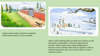 Onda je došlo proleće, priroda se probudila i
okitila zemlju cvećem, a ptice su pevale.
Jedino u bašti sebičnog džina još vlada zima. Pticama se više
nije pevalo u pustoj bašti, a i drveće je zaboravilo da
procveta. Samo je jedan divan cvetak podigao glavu i
provirio iz trave, ali kad je video tablu sa natpisom, toliko se
ražalostio zbog sirote dece, da je ponovo kliznuo u travu i
nastavio da spava.
 