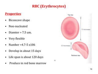 2. blood physiology | PPT
