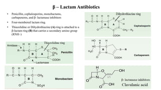 β – Lactam Antibiotics
• Penicillin, cephalosporins, monobactams,
carbapenems, and β- lactamase inhibitors
• Four-membered lactam ring.
• Thiazolidine or Dihydrothiazine (A) ring is attached to a
β-lactam ring (B) that carries a secondary amino group
(RNH–)
 