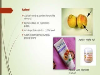 Food processing waste management